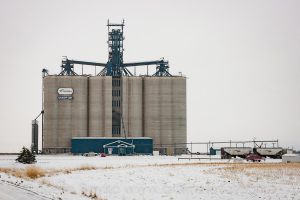 Viterra "Calgary East" grain elevator near Indus, Alberta. October 2012.