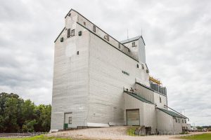 Oakville, MB grain elevator, July 2014. Contributed by Steve Boyko.