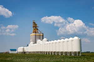 Viterra grain elevator near Roblin, MB, June 2015. Contributed by Steve Boyko.