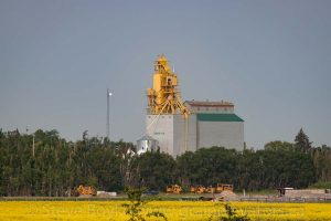 Manitou, MB grain elevator, July 2014. Contributed by Steve Boyko.