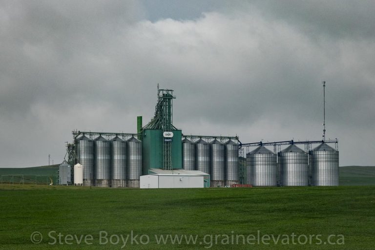 Equity – Grain Elevators of Canada