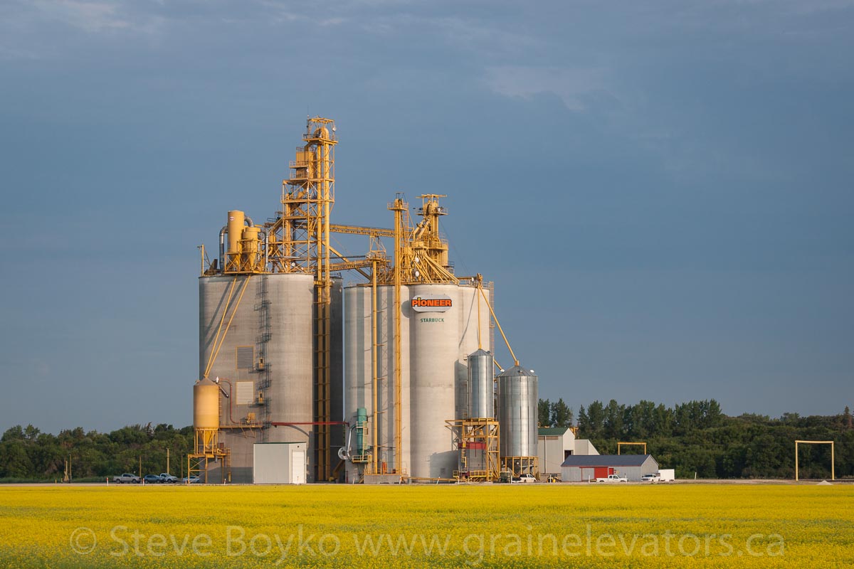 Starbuck – Grain Elevators of Canada